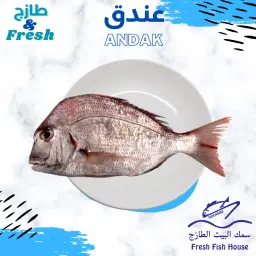 Andak Fish Meal